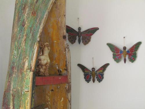 un grupo de mariposas colgando de una pared en Casa del Solar Centro Cozumel - Wifi gratuito Fibra Óptica 200 Mbps, en Cozumel