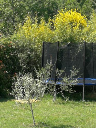 a blue bench sitting in the grass near some bushes at Bastide Provençale Les Mûriers d'Engaspaty in Seillans