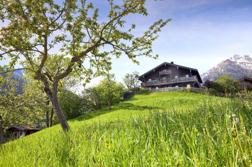 a house on top of a grassy hill with a tree at Vordergugg in Mittersill