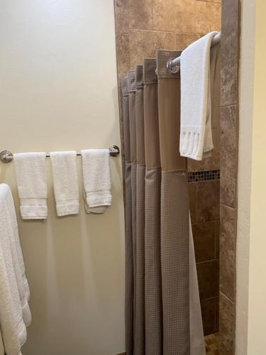 a bathroom with a shower with towels and a shower curtain at Yellowstone Riverside Cottages in Gardiner