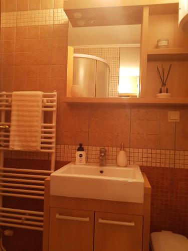 a bathroom with a sink and a mirror at Vlasicka avantura Eko Fis 509 in Vlasic