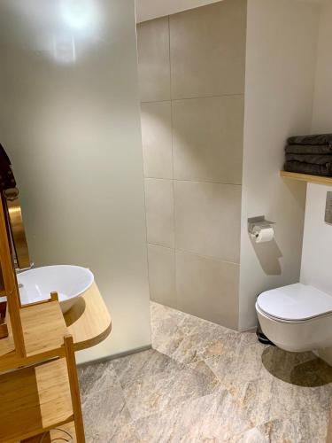 a bathroom with a toilet and a sink at Palanga Dome apartment in Palanga