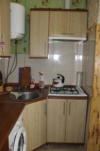 a small kitchen with a stove and a sink at Исторический центр in Chernihiv