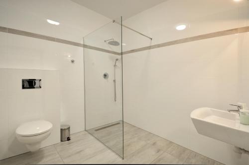 Hotel Roztocze في زفيجنتس: حمام مع دش ومرحاض ومغسلة
