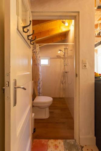 a small bathroom with a toilet and a sink at Stella Maris in Oudeschild