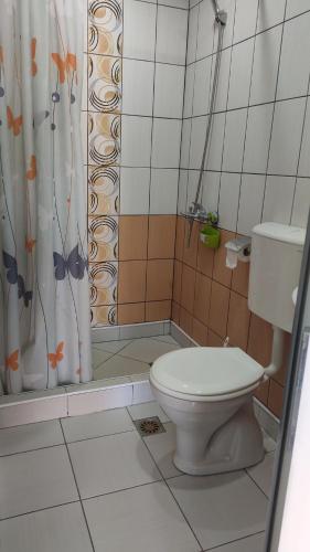 a bathroom with a toilet and a shower curtain at Apartments Maja in Star Dojran