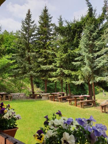a park with picnic tables and flowers in the grass at Fakanalas Fogadó in Pásztó