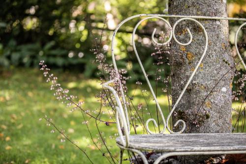 a park bench sitting next to a tree at Belvedere Dolomites Flower Hotel in Moena