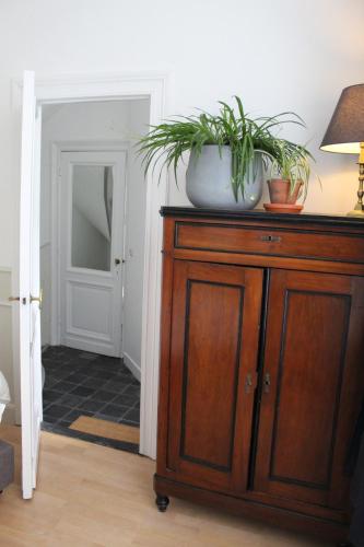 a wooden cabinet with a potted plant on top of it at Holiday Home Jules in Antwerp
