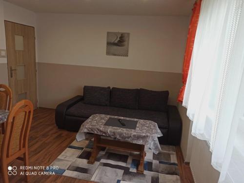 a living room with a couch and a table at Apartmán u Vrbů in Černá v Pošumaví