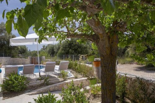a tree with lounge chairs next to a pool at dell Mar stone house in Évyiros