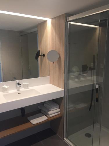 bagno con lavandino e doccia in vetro di Hôtel Doussière - Restaurant l'Alicanta a Le Rozier