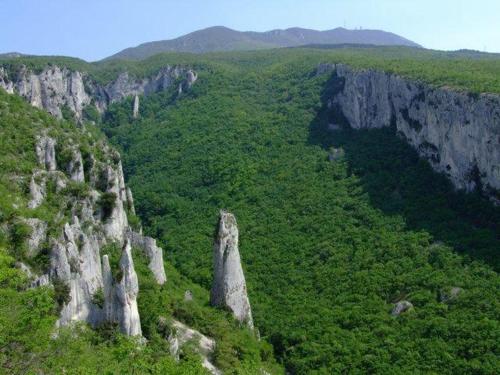 a view of a mountain with trees and rocks at Apartments Adriatic in Selce
