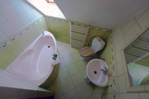 a bathroom with a large tub and a toilet at Chatka Czarny Bocian w Podgórzynie in Podgórzyn