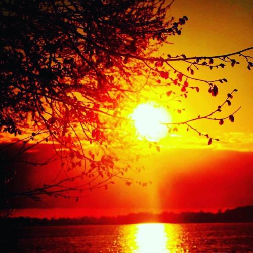 a sunset over a body of water with the sun at Villa Wiegand - a room with a view in Holbæk