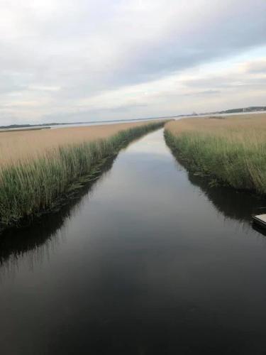 a river in the middle of a field with grass at Villa Wiegand - a room with a view in Holbæk