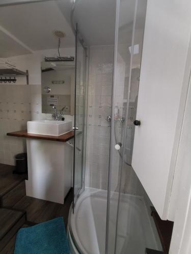 a bathroom with a shower and a sink at Waterloo square river vieuw houseboat in Amsterdam