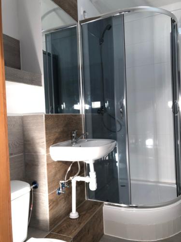 a bathroom with a sink and a shower at SIECHNICE Noclegi in Siechnice