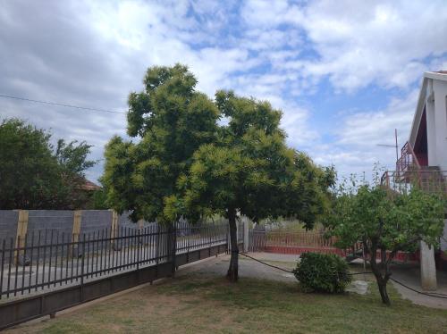 a tree in a yard next to a fence at Airport home Radinovic in Podgorica