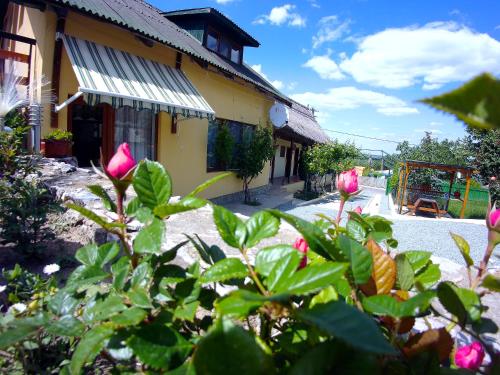 Gallery image of CASA ADI SI MARIA in Mahmudia