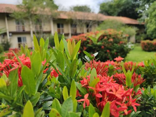 a garden with red flowers in front of a building at Beloalter Hotel in Alter do Chao