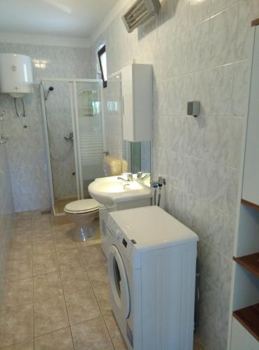 a bathroom with a toilet sink and a washing machine at Apartments Tessa 77 in Medulin