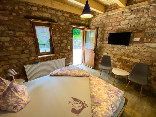 Zimmer mit einem Tisch und Stühlen sowie einem TV in der Unterkunft Holiday park Hajducka cesma in Dubovsko
