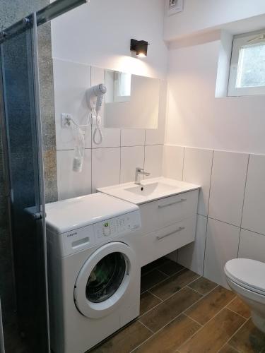 a washing machine in a bathroom with a sink at Leśniczówka Kalina in Wetlina