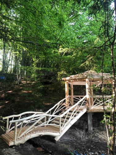 a wooden bridge in the middle of a forest at RIVIERA in Lekechi