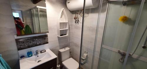 ein Bad mit einer Dusche, einem WC und einem Waschbecken in der Unterkunft Hausboat "Život na vode" in Bratislava