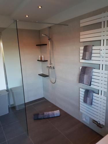La salle de bains est pourvue d'une douche avec une porte en verre. dans l'établissement Haus Rebenblick, à Dierbach