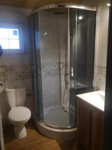 a bathroom with a shower and a toilet and a sink at Domek letniskowy z basenem in Kołczewo