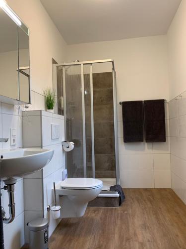 a bathroom with a shower and a toilet and a sink at Gästehaus am Kurpark Hotel Garni in Horn-Bad Meinberg