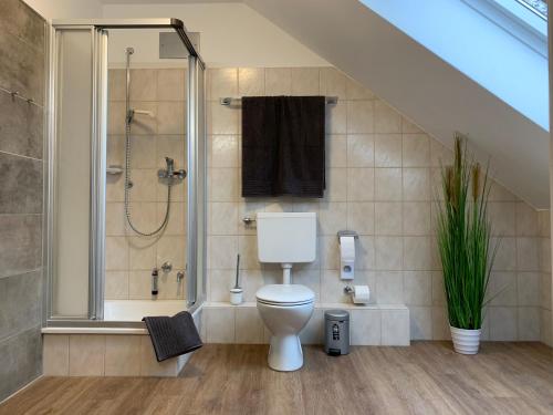 a bathroom with a shower with a toilet and a shower at Gästehaus am Kurpark in Horn-Bad Meinberg