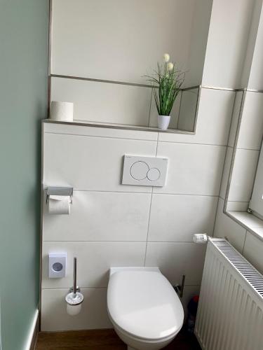 a bathroom with a toilet and a plant on a shelf at Gästehaus am Kurpark Hotel Garni in Horn-Bad Meinberg