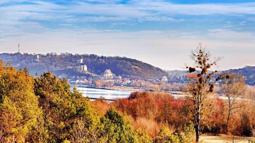 a view of a city and a river with trees at Hotel Kazimierski Zdrój in Janowiec