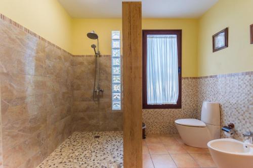 a bathroom with a shower and a toilet and a sink at Los Granados in La Oliva