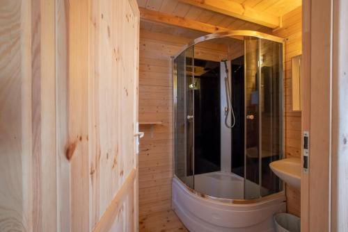 a bathroom with a shower and a sink at O.W.Cynamon in Dziwnów