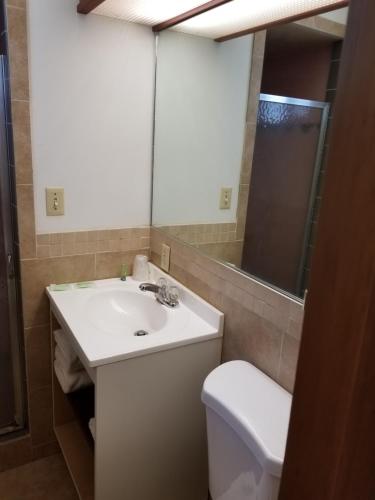 a bathroom with a sink and a toilet and a mirror at Valley Inn - Lebanon Oregon in Lebanon
