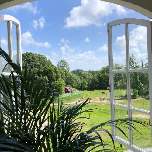 an open window with a view of a field at Eco Hotel Plantage Rococo in Velsen-Zuid