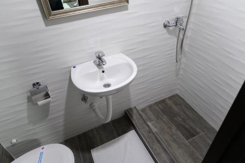 a bathroom with a sink and a toilet at Jezero Kudrec in Smederevska Palanka