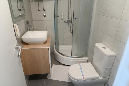 a bathroom with a shower and a toilet and a sink at Jezero Kudrec in Smederevska Palanka