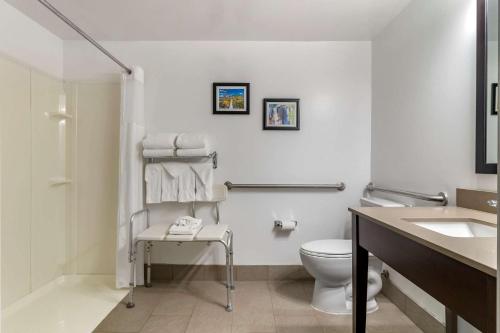 Ett badrum på Comfort Inn & Suites Calhoun South
