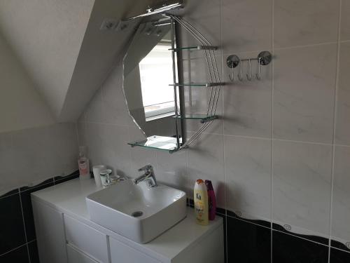 a bathroom with a sink and a mirror at Apartment Asgard in Drežnik Grad