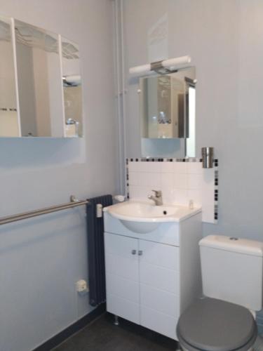 uma casa de banho com um lavatório, um WC e um espelho. em ZEN T1, 500m centre, proche gare, tout confort em Châlons-en-Champagne