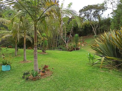 a green yard with palm trees and plants at Hotel Marrokos Aeropuerto José María Córdova in Rionegro