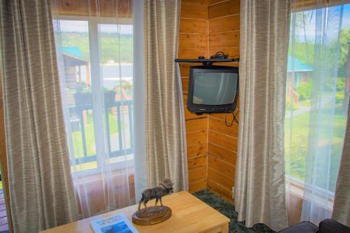 Zimmer mit einem TV und einer Katzenstatue auf dem Tisch in der Unterkunft Homer Floatplane Lodge in Homer
