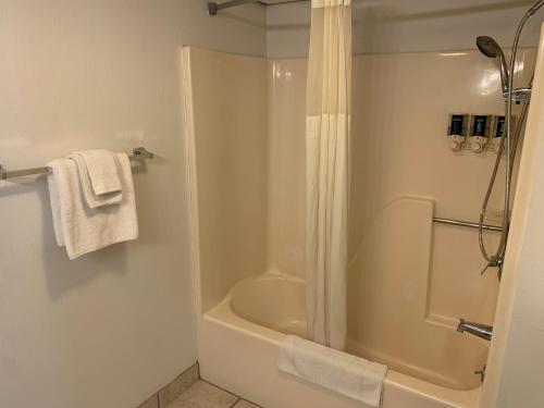 a bathroom with a shower and a bath tub at @ Michigan Inn & Lodge in Petoskey
