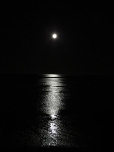 a full moon over the water at night at Twin Waters Lodge in Collingwood