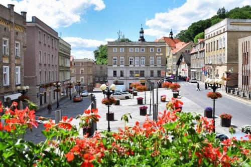 a city street with buildings and flowers in the foreground at Rodar in Boguszów-Gorce